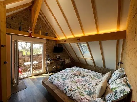 Superior Tek Büyük Yataklı Oda, Üzüm Asması Manzaralı (Chambre Malo)