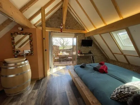 Superior Tek Büyük Yataklı Oda, Üzüm Asması Manzaralı (Chambre Malo)