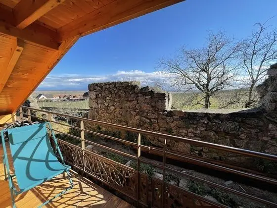 Superior Tek Büyük Yataklı Oda, Üzüm Asması Manzaralı (Chambre Malo)