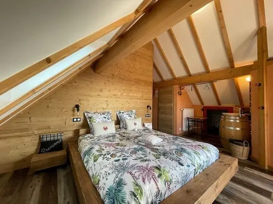 Superior Tek Büyük Yataklı Oda, Üzüm Asması Manzaralı (Chambre Malo)