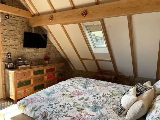 Superior Tek Büyük Yataklı Oda, Üzüm Asması Manzaralı (Chambre Malo)