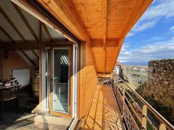 Superior Tek Büyük Yataklı Oda, Üzüm Asması Manzaralı (Chambre Malo)