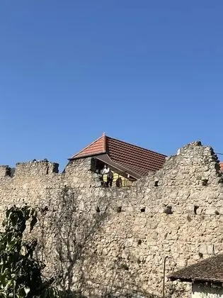 Superior Tek Büyük Yataklı Oda, Üzüm Asması Manzaralı (Chambre Malo)