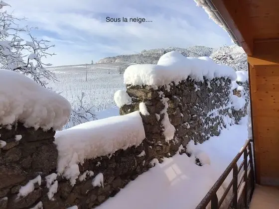 Superior Tek Büyük Yataklı Oda, Üzüm Asması Manzaralı (Chambre Malo)