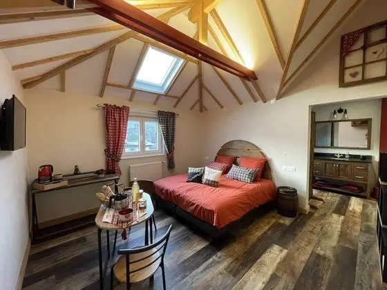 Tek Büyük Yataklı Oda, Banyolu/Duşlu (Chambre Manoun)