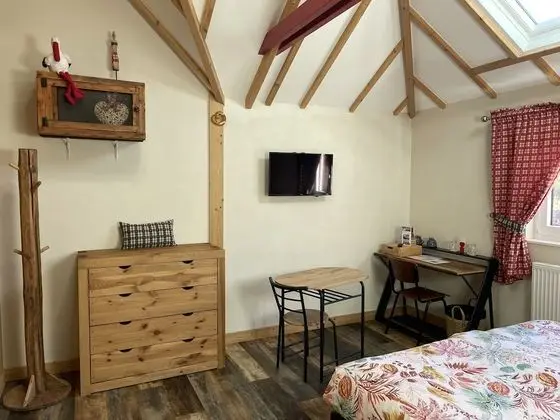 Tek Büyük Yataklı Oda, Banyolu/Duşlu (Chambre Manoun)