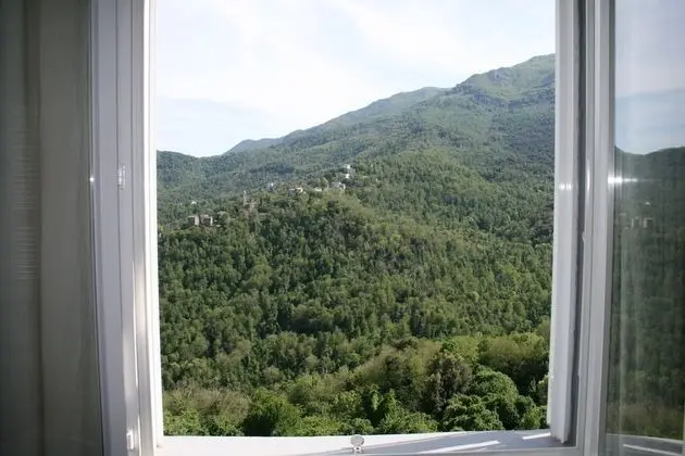 Tek Büyük Yataklı Oda, 1 Çift Kişilik Yatak, Sigara İçilmez, Vadi Manzaralı