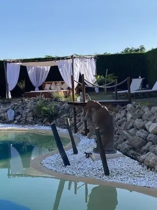 Standard Tek Büyük Yataklı Oda (Chouette Orange)