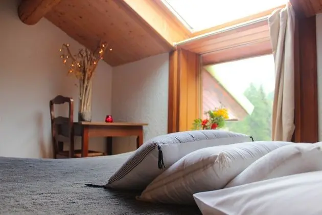 Comfort Dört Kişilik Oda