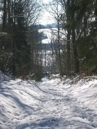 Kır Evi, Banyolu/Duşlu