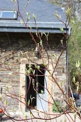 Kır Evi, Banyolu/Duşlu