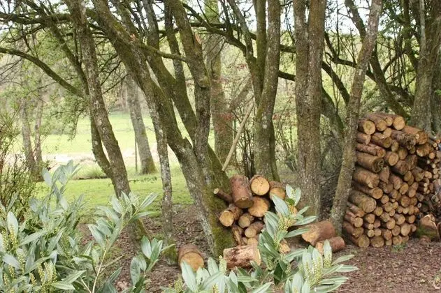 Kır Evi, Banyolu/Duşlu