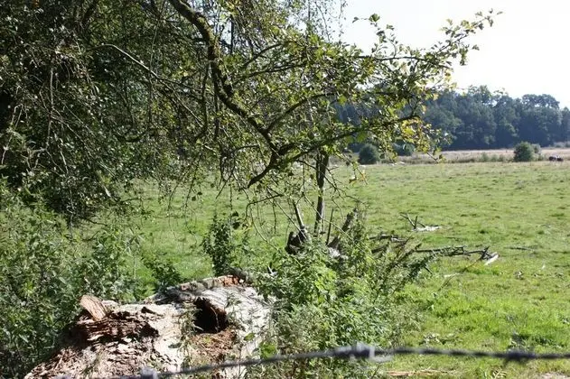 Kır Evi, Banyolu/Duşlu