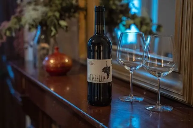 Superior Süit, Özel Banyo, Şehir Manzaralı