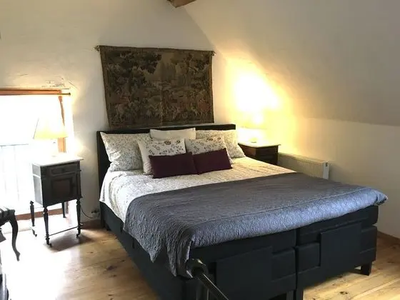 Deluxe Süit, 1 En Büyük (King) Boy Yatak