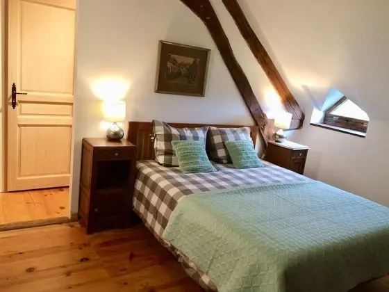 Deluxe Tek Büyük Yataklı Oda, 1 Büyük (Queen) Boy Yatak