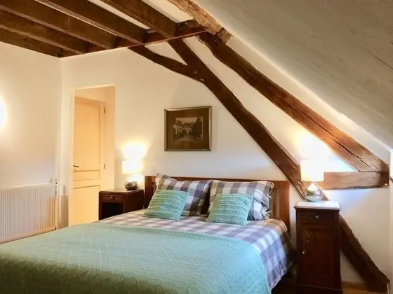 Deluxe Tek Büyük Yataklı Oda, 1 Büyük (Queen) Boy Yatak