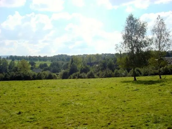 Deluxe Tek Büyük Yataklı Oda, 1 Büyük (Queen) Boy Yatak