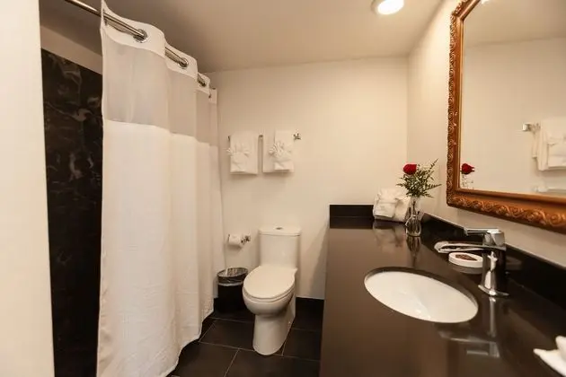 Süit, 1 Yatak Odası