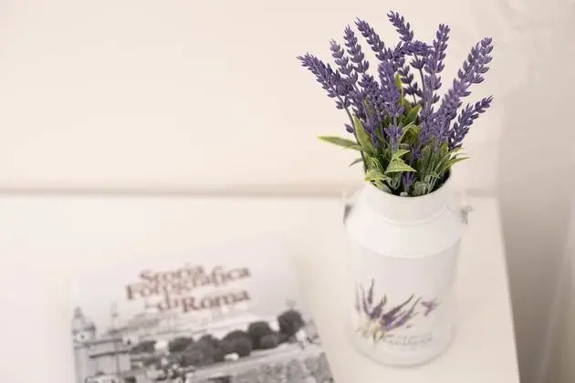 Design Tek Büyük veya İki Ayrı Yataklı Oda, Avlu Manzaralı