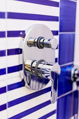 Economy Tek Büyük veya İki Ayrı Yataklı Oda, Bahçe Manzaralı