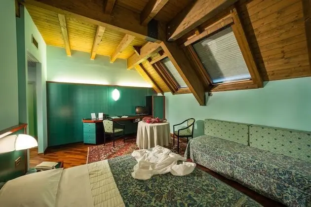 Deluxe Büyük Yataklı Tek Kişilik Oda