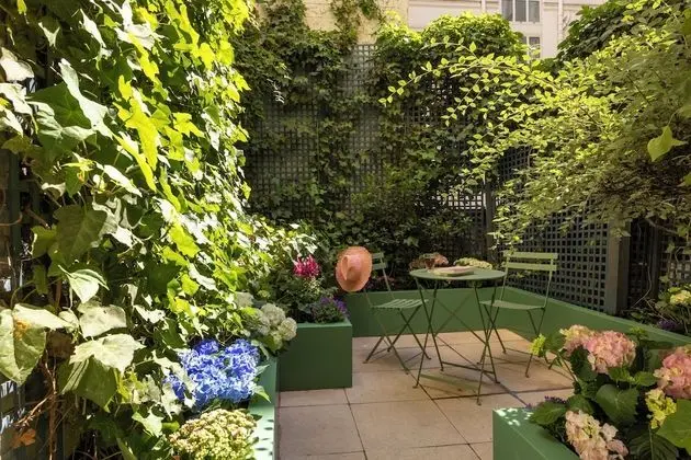 Double Room with Terrace