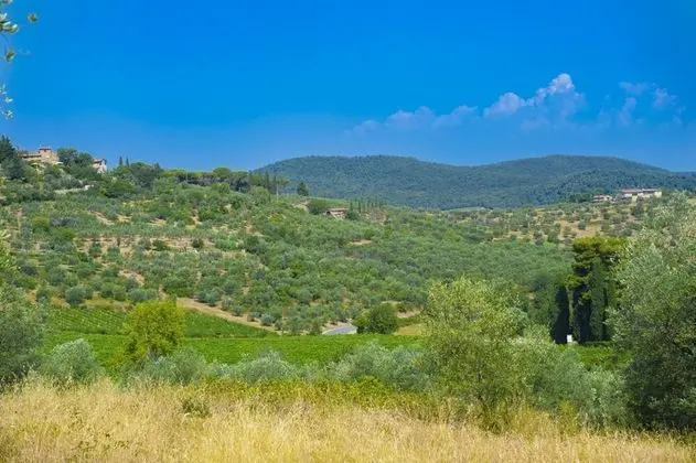 Villa, Sigara İçilebilir