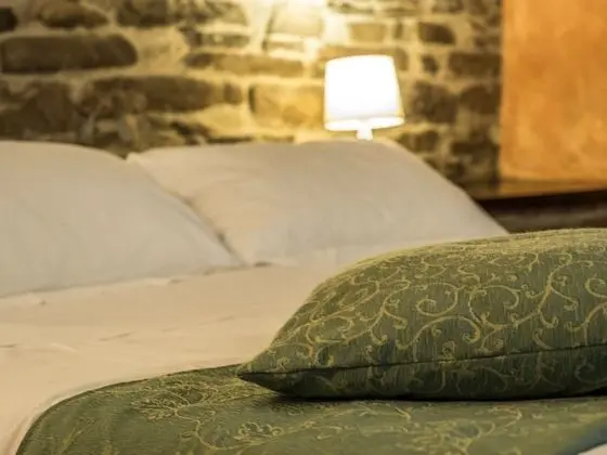 Classic Tek Büyük Yataklı Oda, Banyolu/Duşlu