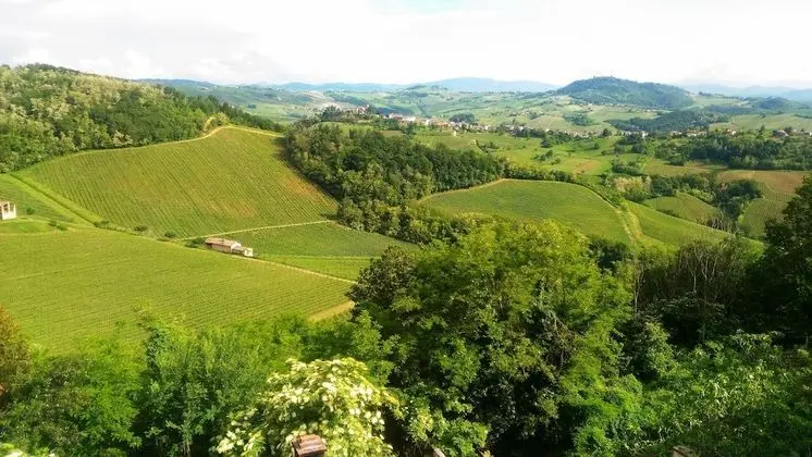 Basic Oda, 1 Çift Kişilik Yatak