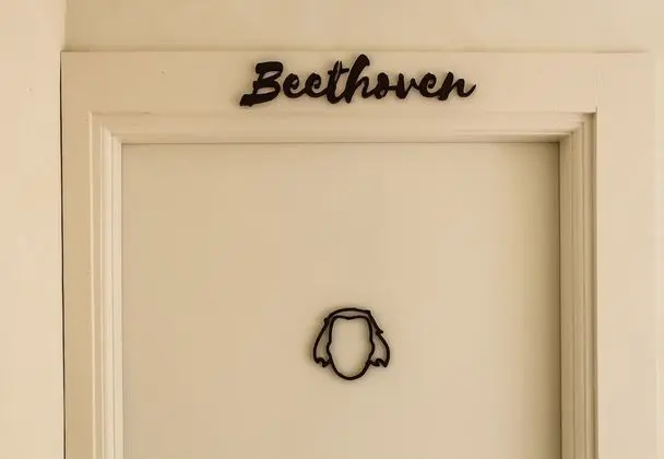 Tek Büyük Yataklı Oda, 1 Büyük (Queen) Boy Yatak, Sigara İçilmez, Balkon (Beethoven )