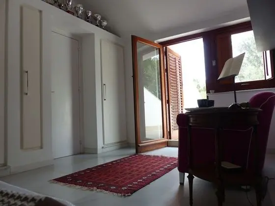 Superior Tek Büyük Yataklı Oda, Teras (Albert)