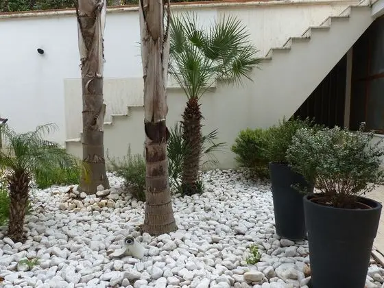 Superior Tek Büyük Yataklı Oda, Veranda (Marco)