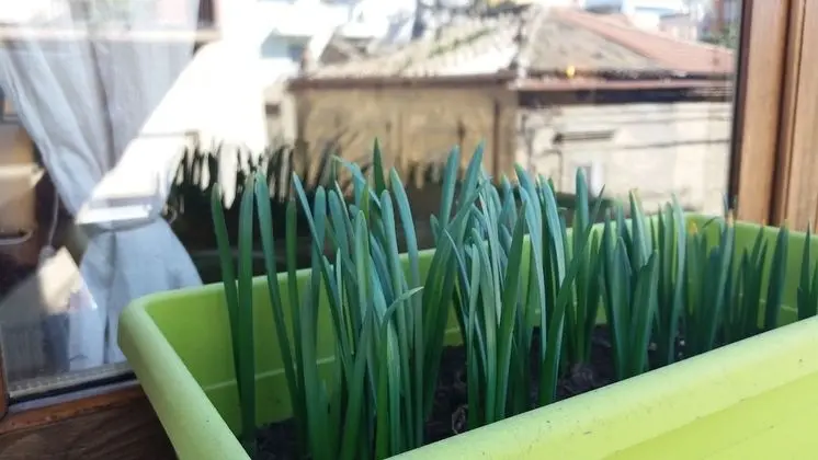 Tek Büyük Yataklı Oda, Özel Banyo (External)