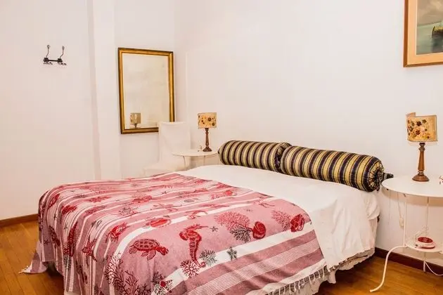 Basic Tek Büyük Yataklı Oda, Ortak Banyo (Capitano)