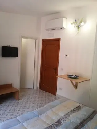 Tek Büyük Yataklı Oda, 1 Çift Kişilik Yatak, Banyolu/Duşlu