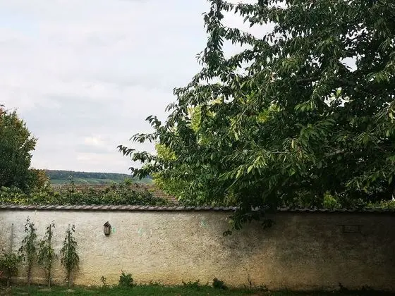 Comfort Kır Evi, Banyolu/Duşlu, Bahçe Manzaralı