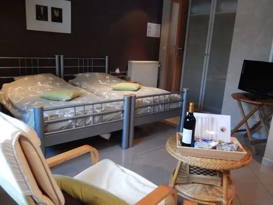 Double Room with Twin Bed