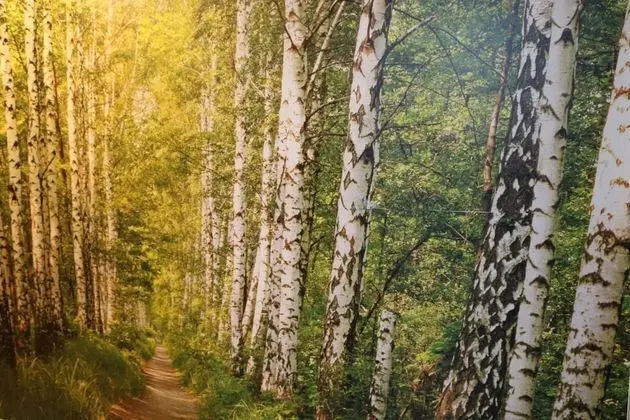 Tek Büyük veya İki Ayrı Yataklı Oda, Balkon
