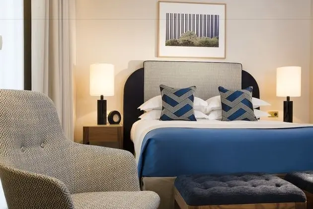 Deluxe Tek Büyük Yataklı Oda, 1 Büyük (Queen) Boy Yatak