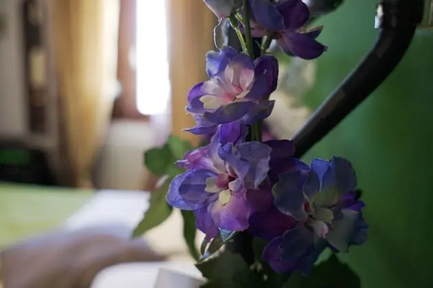 Tek Kişilik Oda, Ek Bina (Camelot)