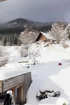 Standard Tek Büyük veya İki Ayrı Yataklı Oda (Ambre)
