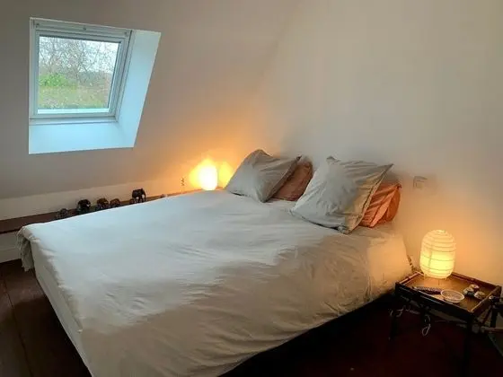 Comfort Tek Büyük Yataklı Oda, Sigara İçilmez, Avlu Manzaralı (Mona)