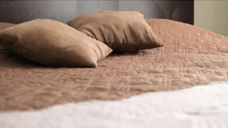 Executive Tek Büyük Yataklı Oda (Room Service)