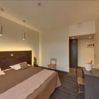 Executive Tek Büyük Yataklı Oda (Room Service)