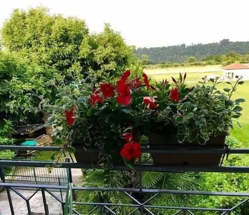 Üç Kişilik Oda