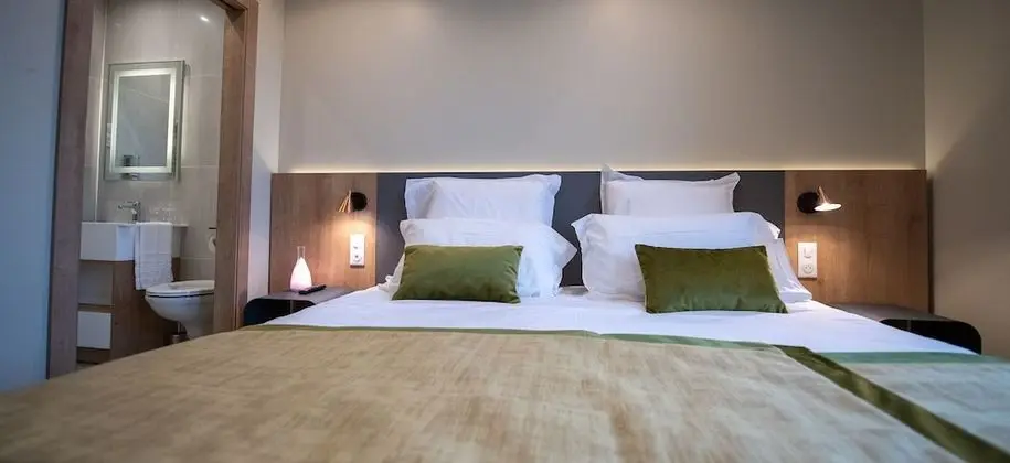Comfort Tek Büyük veya İki Ayrı Yataklı Oda, Özel Banyo (Chambre Lion)