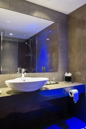 Superior Tek Büyük Yataklı Oda, Özel Banyo