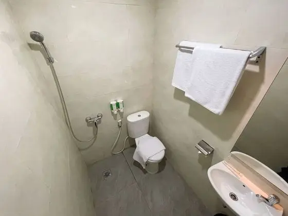 Deluxe Tek Büyük Yataklı Oda, 1 Büyük (Queen) Boy Yatak, Sigara İçilebilir