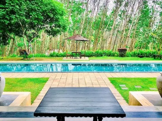 Deluxe Tek Büyük Yataklı Oda, Sigara İçilmez, Havuz Manzaralı